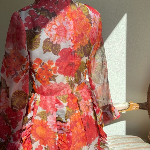 Vintage 1960s Small Floral Full Length Sheer Gown with Ruffle Detail - 60s Pink - Picture 11 of 11